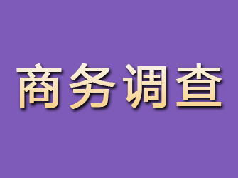 饶平商务调查